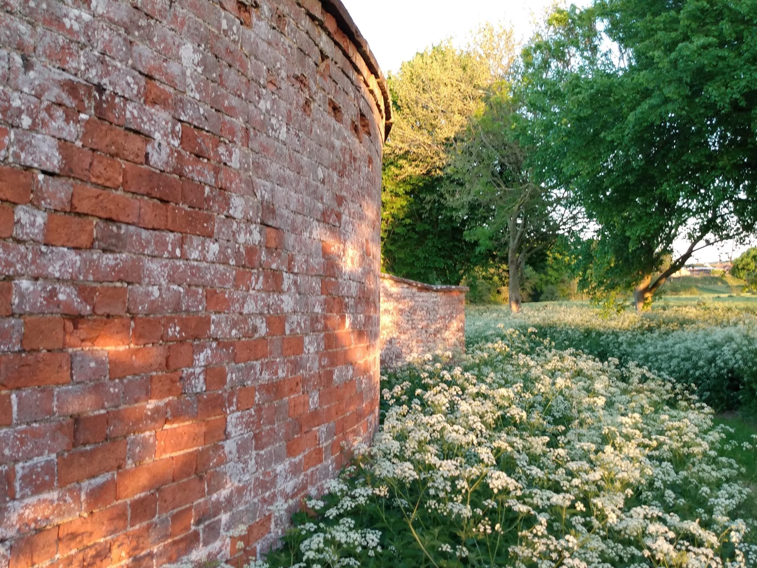 crinkle-crankle-wall-and-cow-parsley-scaled.jpg